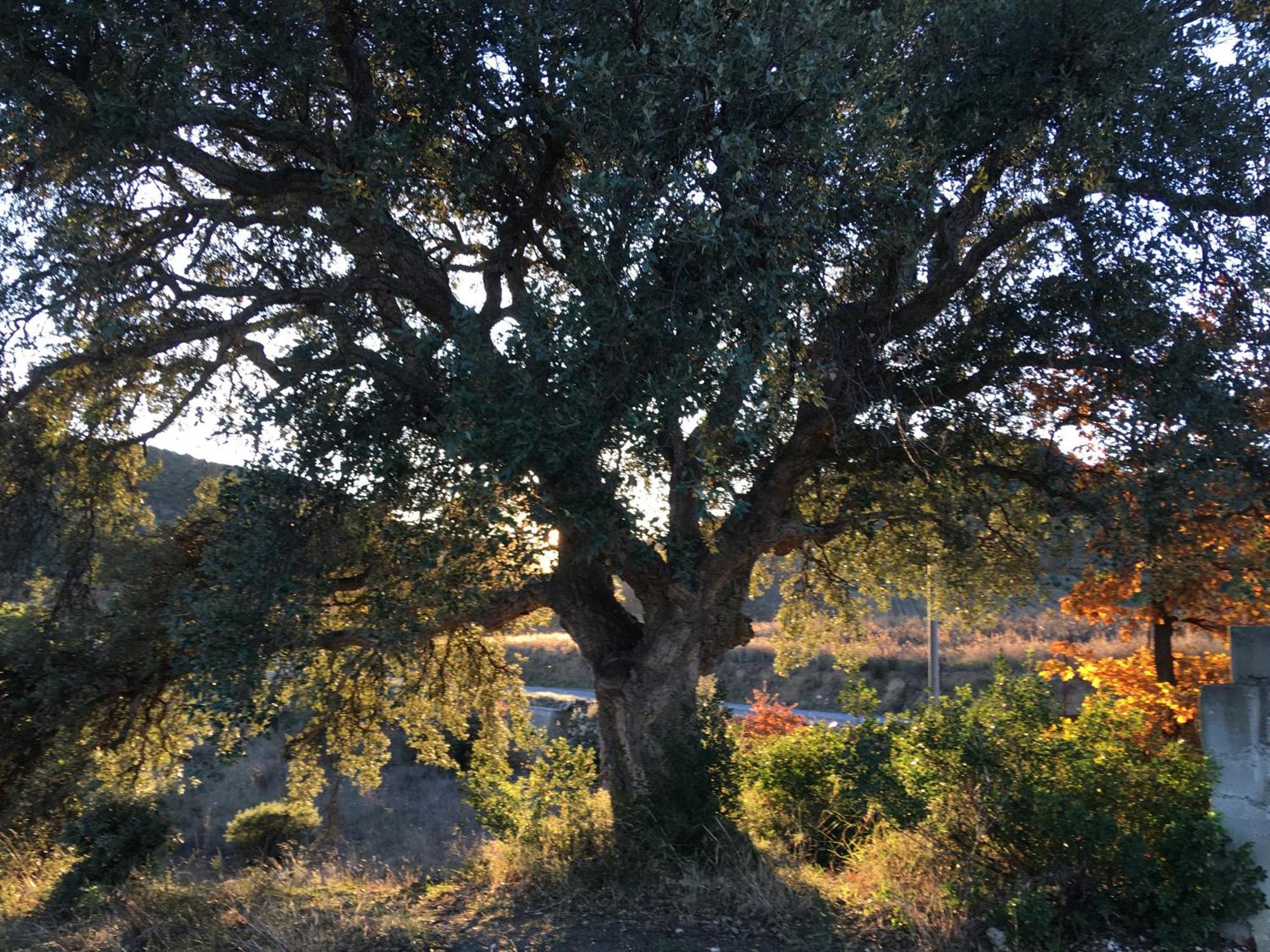 Coeur De Nature Rasigueres Bagian luar foto